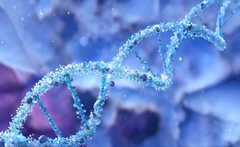 干貨 | 外源性DNA殘留檢測簡介