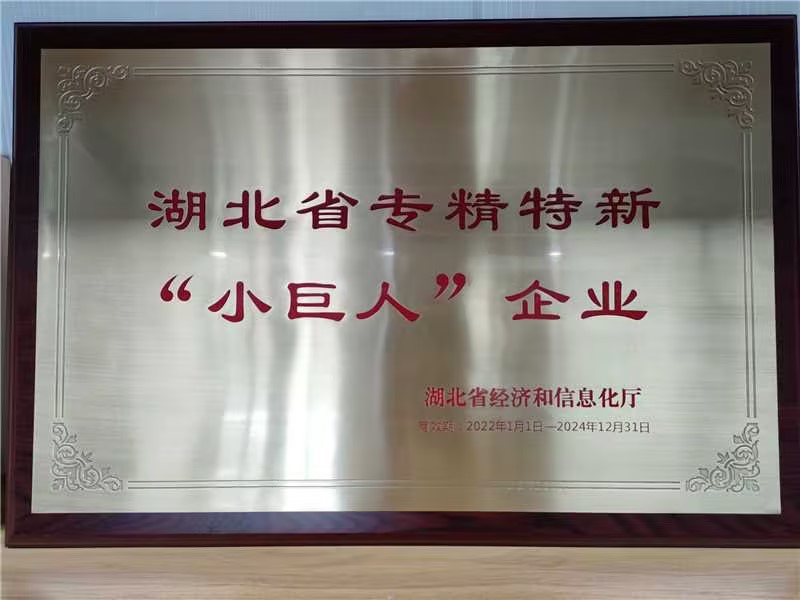 湖北省專精特新“小巨人”企業(yè)