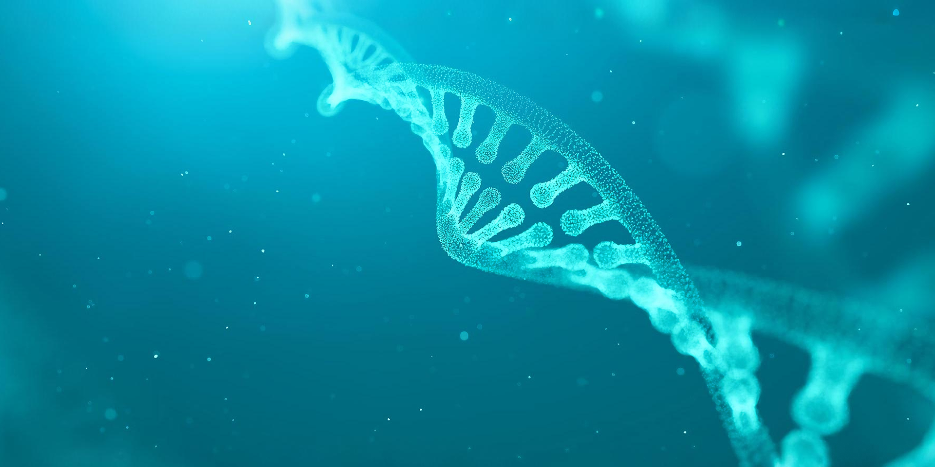 提供一站式技術(shù)服務(wù)