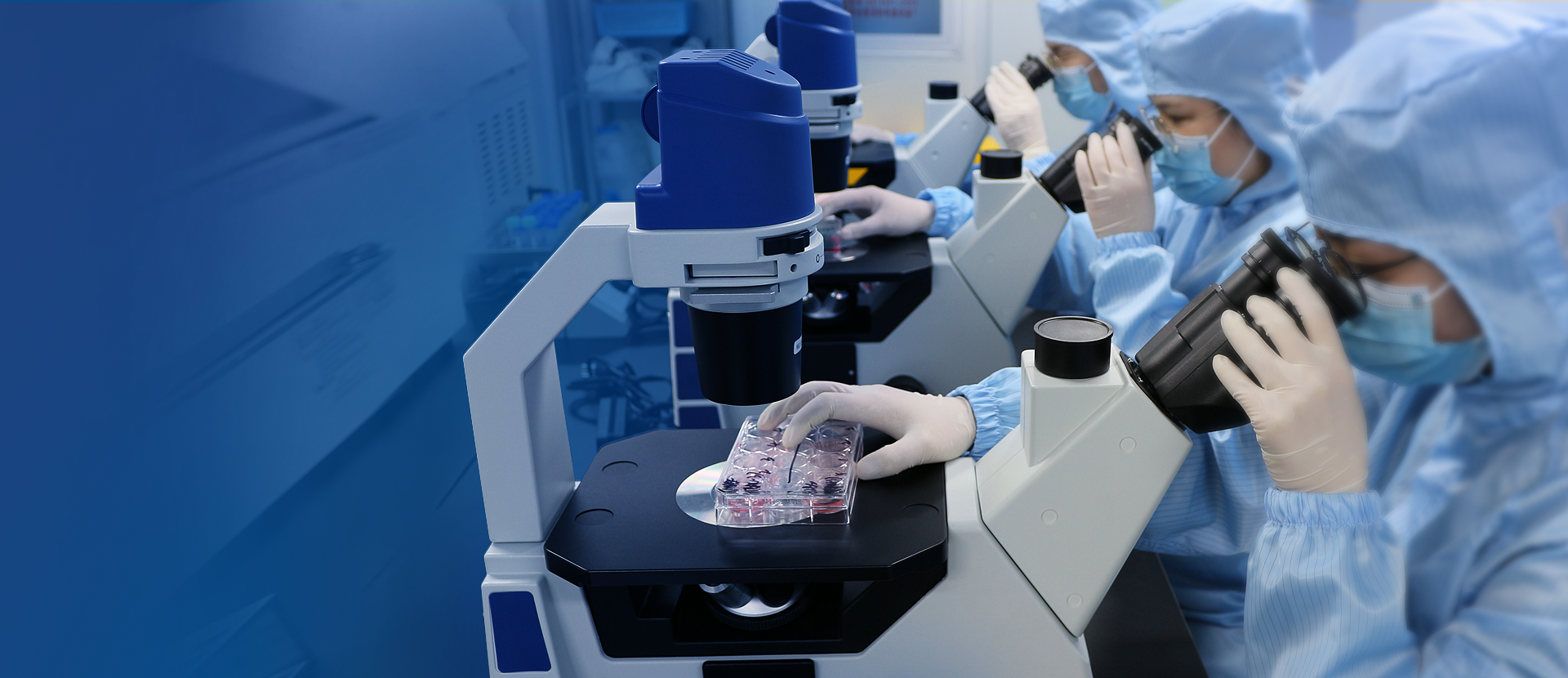 Pioneer and Leader in Testing and Evaluating Biopharmaceuticals